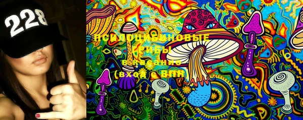 эйфоретик Осташков
