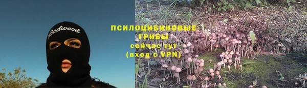 эйфоретик Осташков