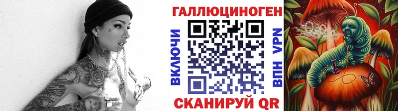 Псилоцибиновые грибы GOLDEN TEACHER  Истра 