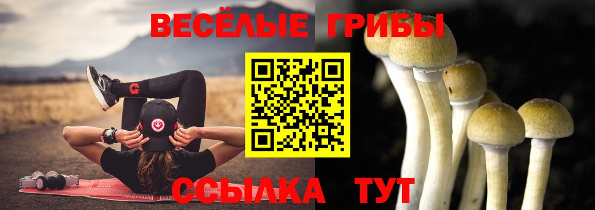 Галлюциногенные грибы Psilocybe Истра
