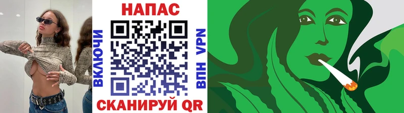 купить наркотик  Истра  Бошки Шишки сатива 